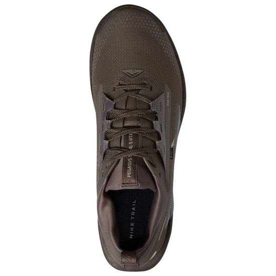 Nike Pegasus Trail 5 Gore-Tex